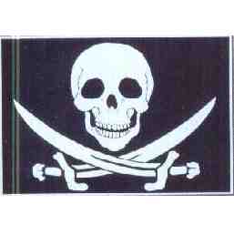 Posterflag Pirat II